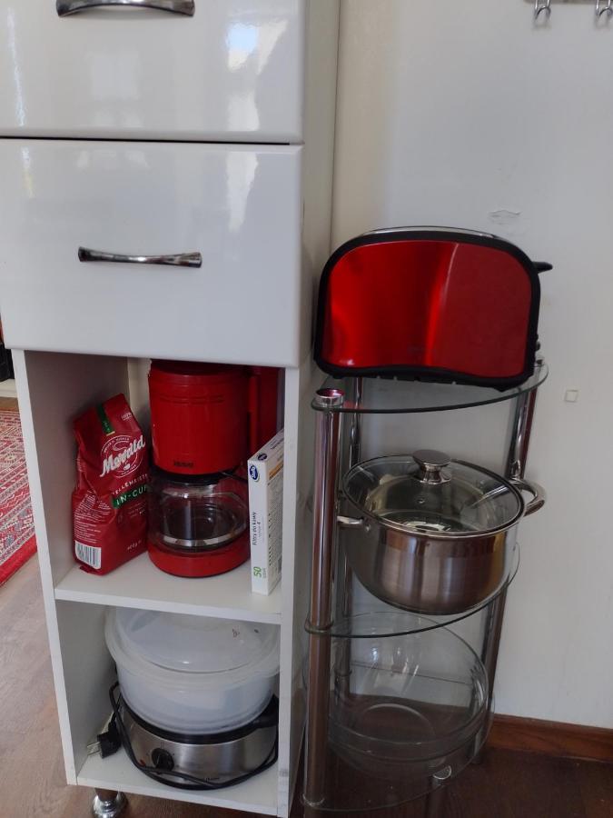 Premium Class Apartment, Free Parking, Maximum 5 Guests, 2 Bedrooms, 3 Beds リガ エクステリア 写真